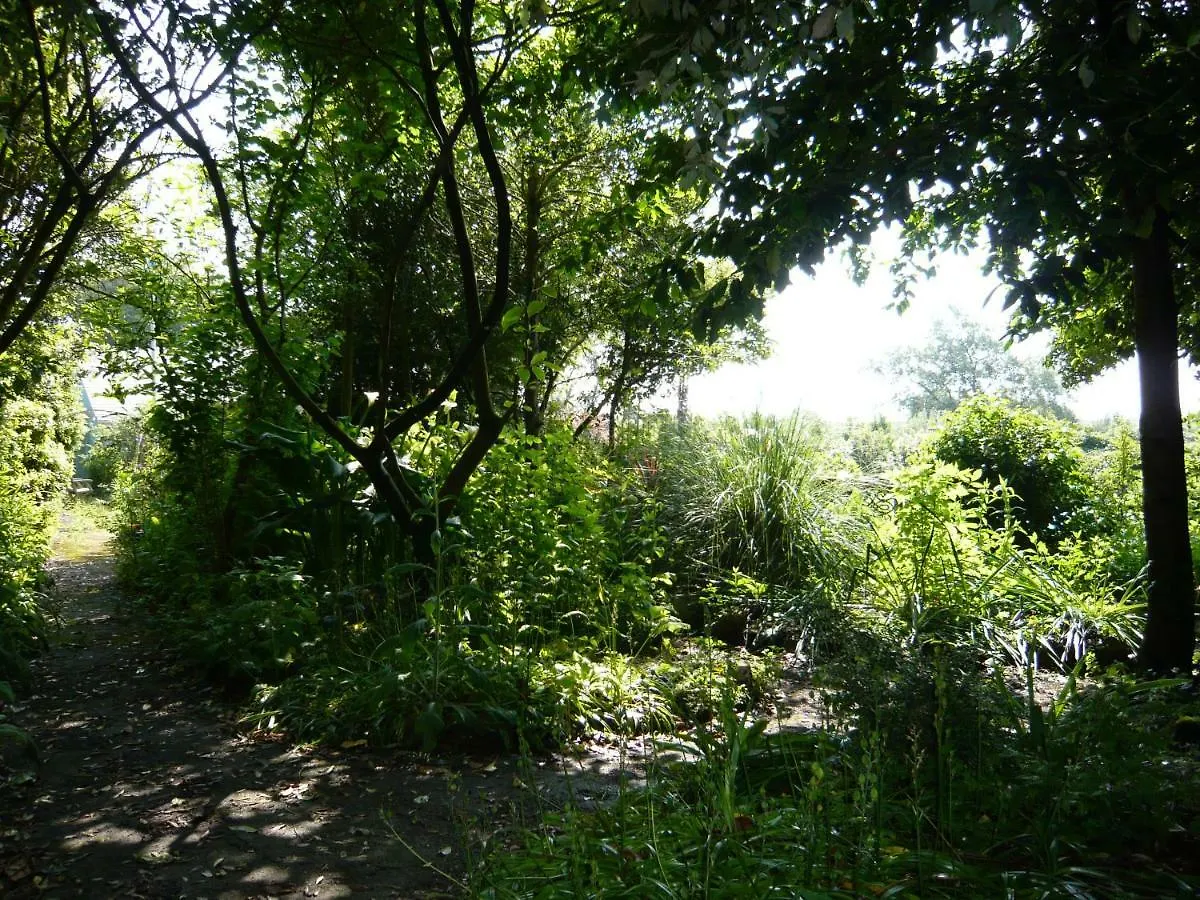 The Croft Guest House - Cockwood Harbour Near エクセター